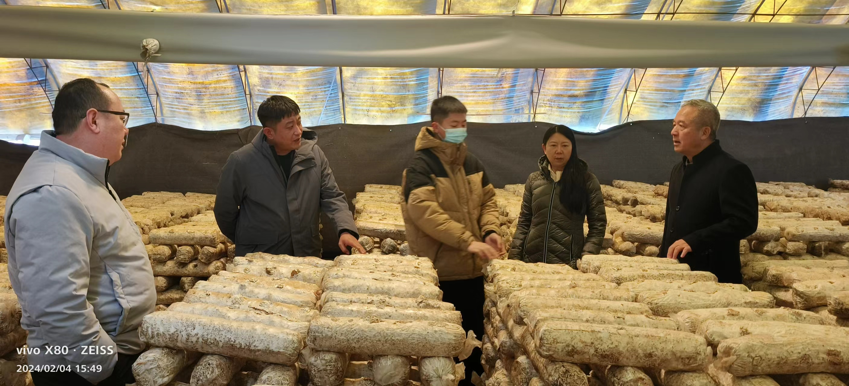 8參觀新林鎮(zhèn)香菇基地 (1).jpg