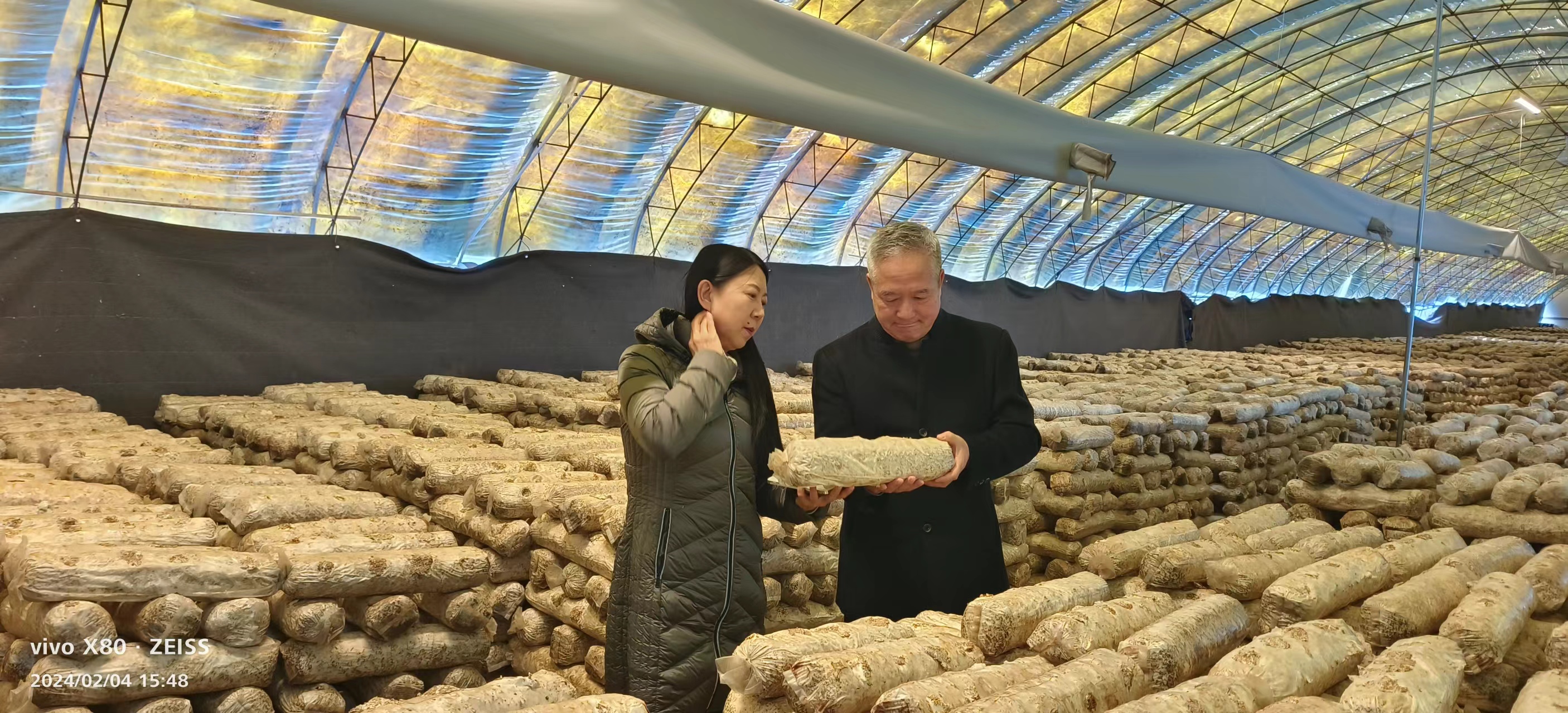 9參觀新林鎮(zhèn)香菇基地 (2).jpg