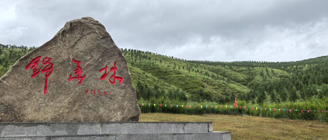 13，錦華林碑.jpg