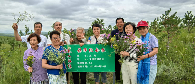 43、伙伴們種的樹已經(jīng)成林.jpg